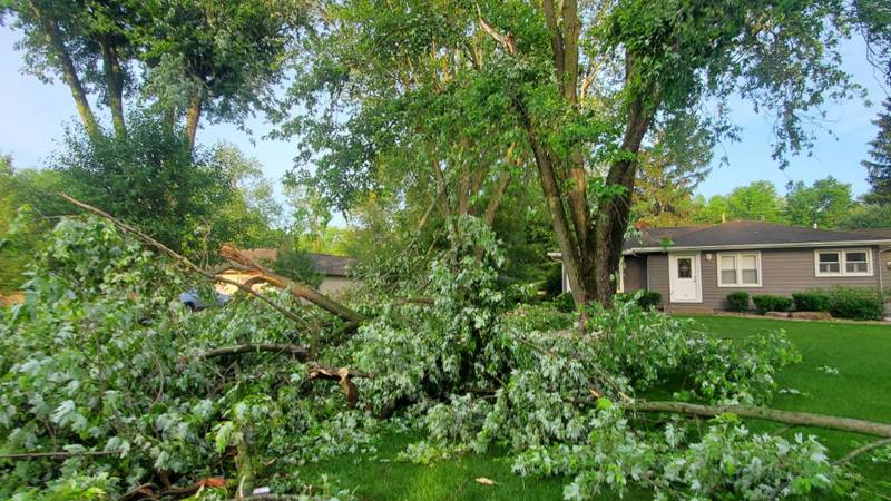 Trees down in a southwest Fort Wayne neighborhood, on Tuesday, June 14, 2022.