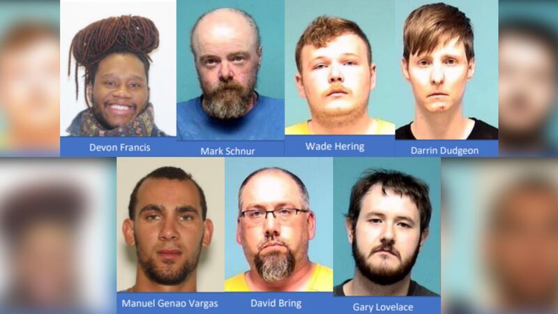 Seven men from Northeast Ohio were arrested in an online sex crime sting, authorities say.