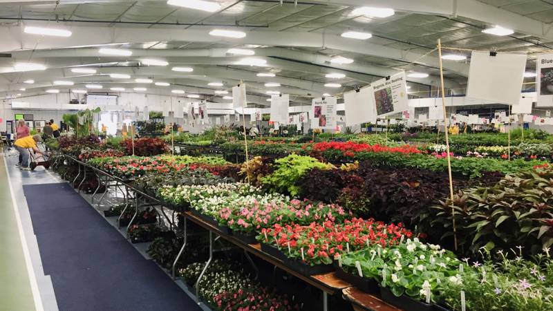 The annual Mother's Day Plant sale is returning to McMillen Park this weekend.