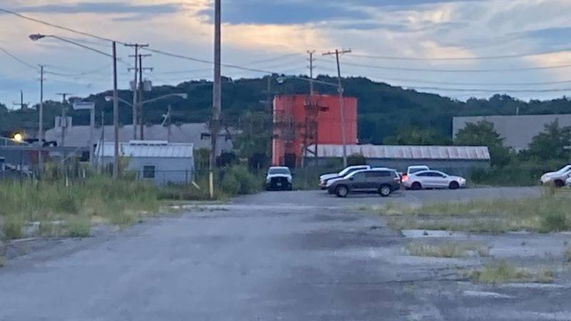 A person was fatally electrocuted early Wednesday morning at a power substation on Cleveland's...