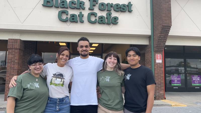 Black Forest Cat Cafe opens Friday.
