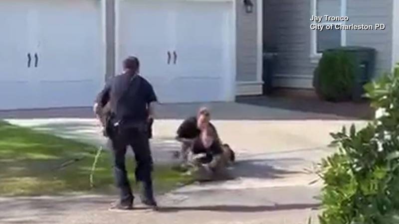 Animal control officers were called in after the 6-foot alligator was spotted wandering near an...