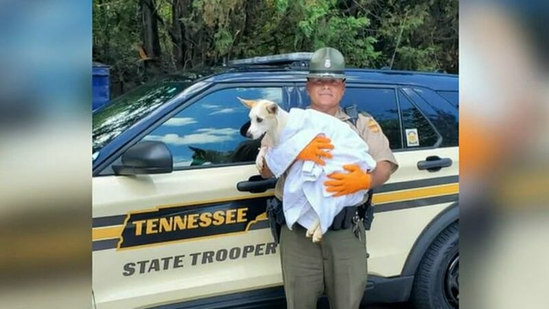 A Tennessee Highway Patrol trooper adopted a dog after he rescued it from the side of the...