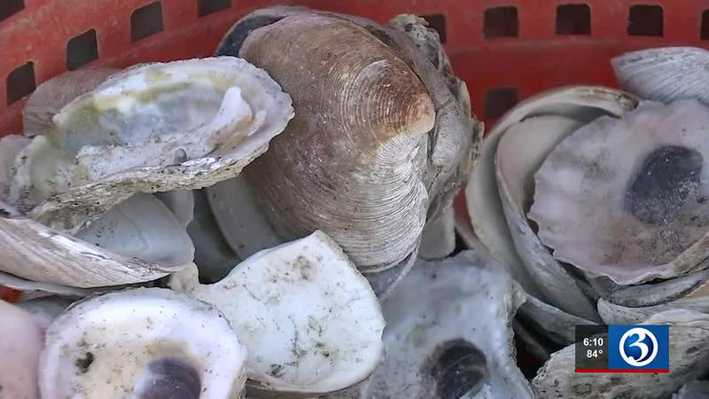 Plan to preserve state's shellfish industry