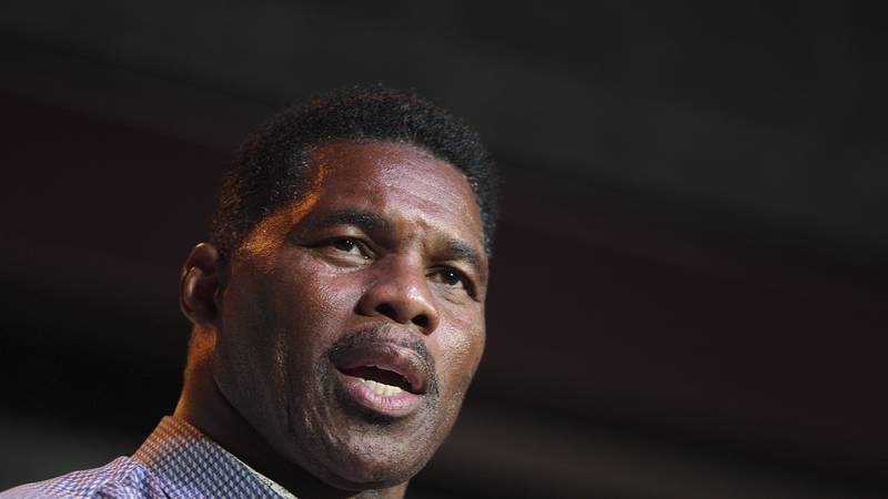 FILE - Herschel Walker, GOP candidate for the US Senate for Georgia, speaks at a primary watch...