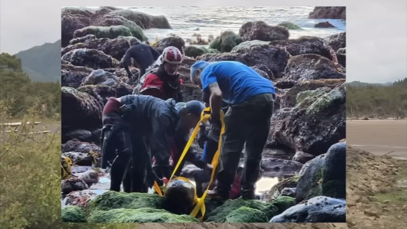 Archaeologists discover historic shipwreck on Oregon coast.