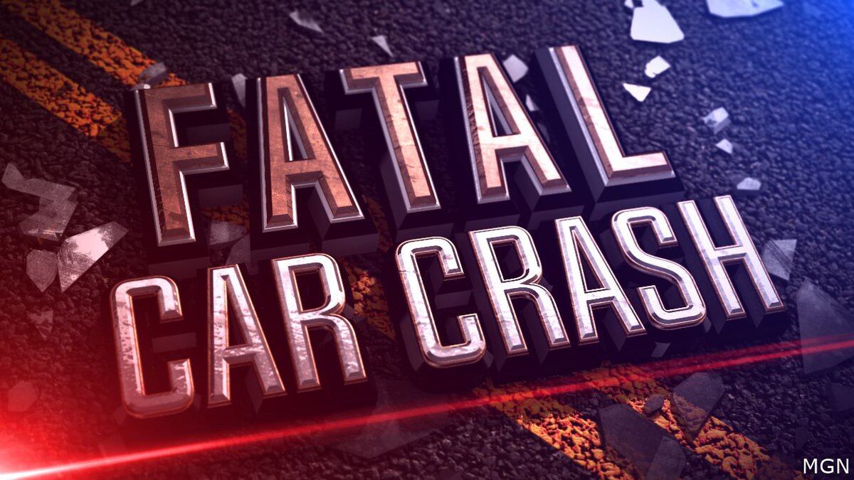 Police say two women and five children, ages 5 to 13, are dead after a crash involving a...