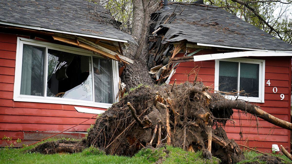 A tree toppled by high winds from an overnight thunderstorm smashed into a house, splitting it...