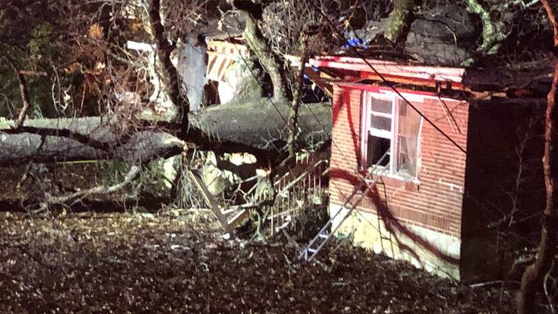 A 5-year-old boy was killed when a tree fell into his house just after 5 a.m. Monday.