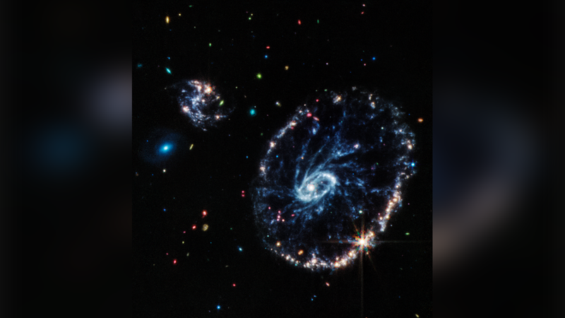 Webb’s observations show that the Cartwheel Galaxy is in a very transitory stage and will...