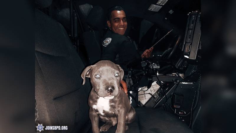 Officer Mireles gave Mickey a ride home in his police car.