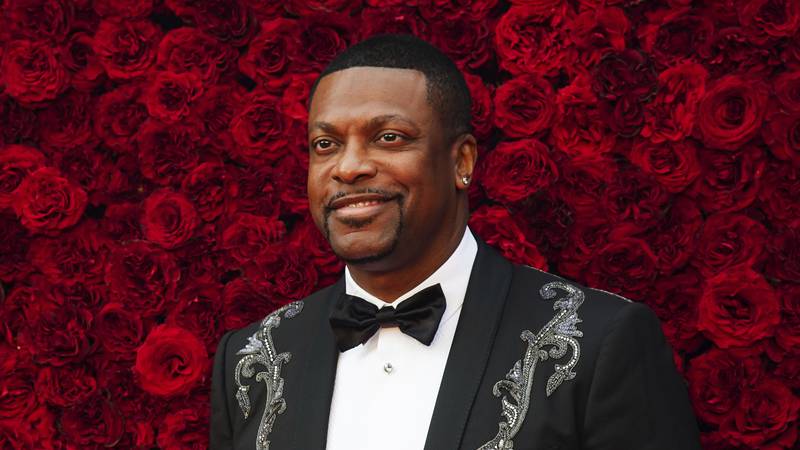 Chris Tucker poses for a photo on the red carpet at the grand opening of Tyler Perry Studios on...