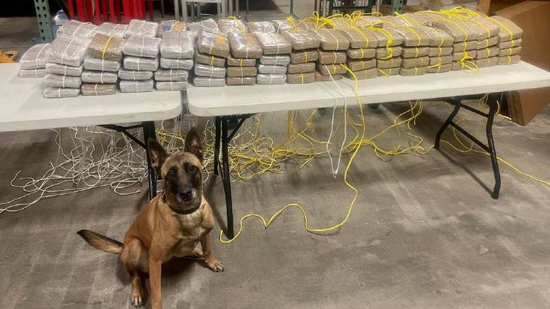 K-9 Mina made a positive indication of narcotics odor on board the tractor-trailer in question,...