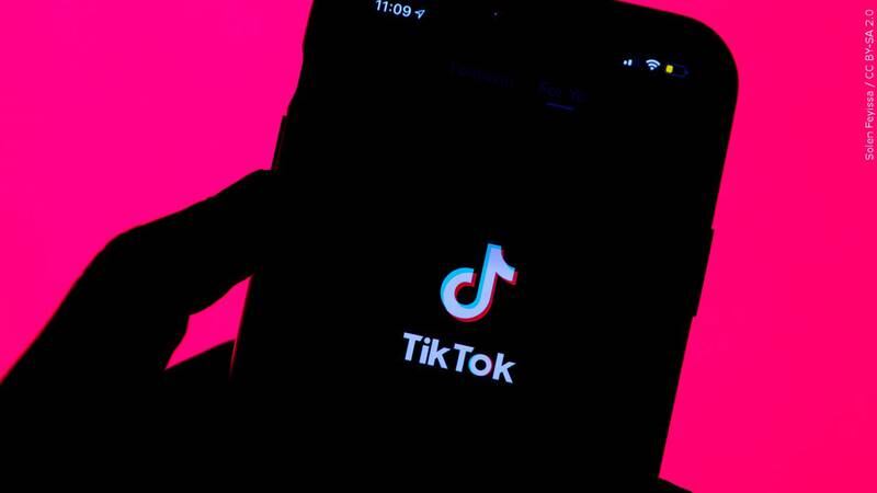 TikTok is more than just fun and videos, the FCC warned.