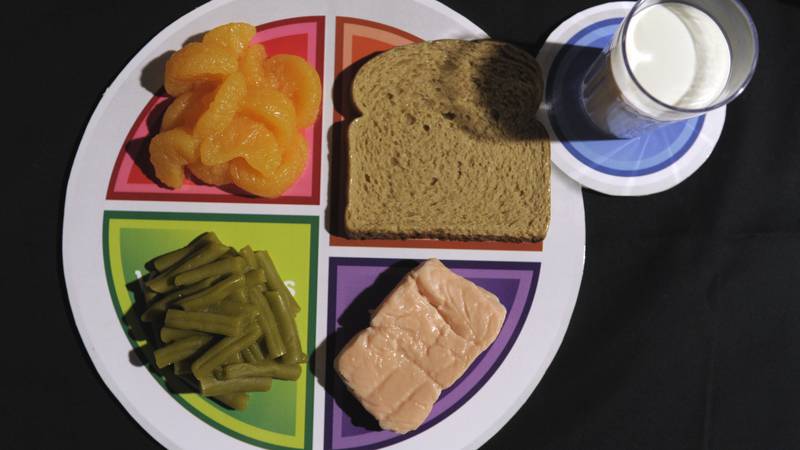 A sample plate of the food icon MyPlate, is unveiled at the U.S. Department of Agriculture in...