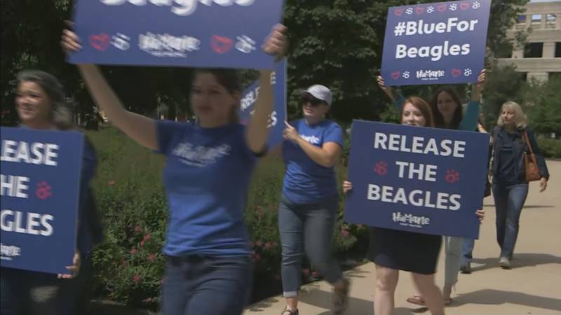 Animal advocates March for Beagles outside the Indiana Statehouse on Thursday, June 2, 2022.