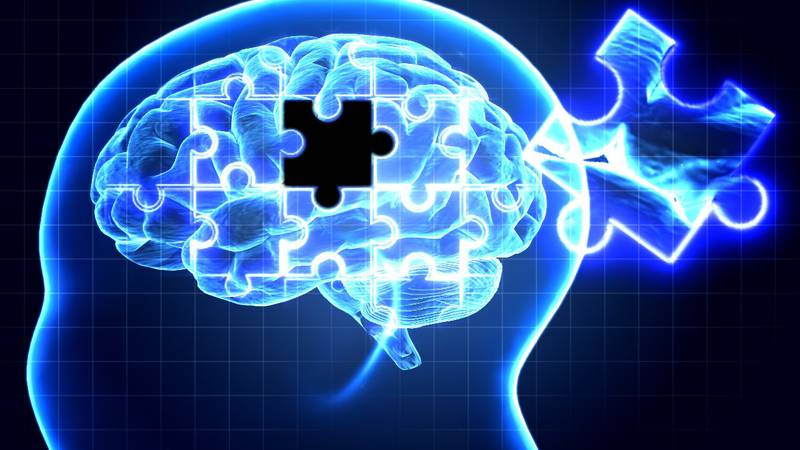 Researchers are looking for participants in a study on a new drug for treating Alzheimer's...