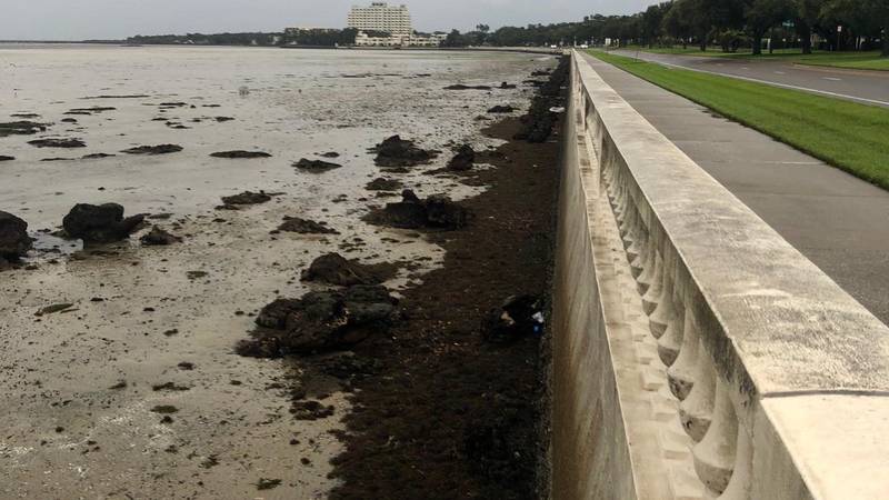 Water has receded near Bayshore Boulevard in Tampa Wednesday morning ahead of Hurricane Ian....