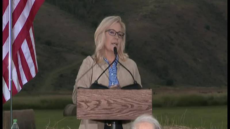 Liz Cheney concedes her election.