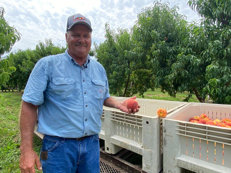 Jeff Flamm, a peach and apple farmer, showcases the fruit grown on his family's orchard in...