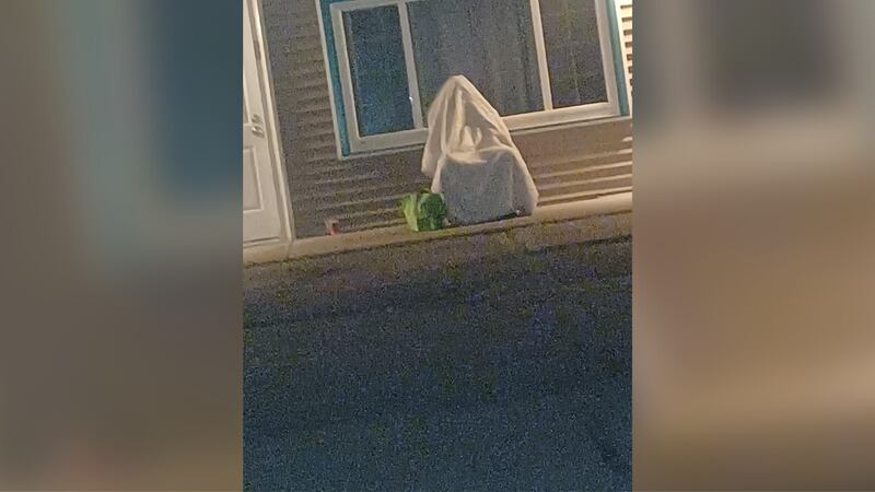 A man in Maine attempted to hide from police by hiding under a blanket in a chair, according to...